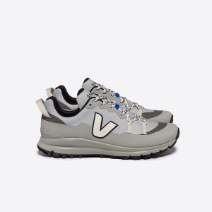 VEJA X ??TUDES SHARK