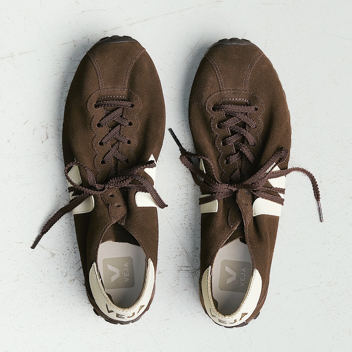 CATEYES SUEDE EAGLE CASHEW - Image 2